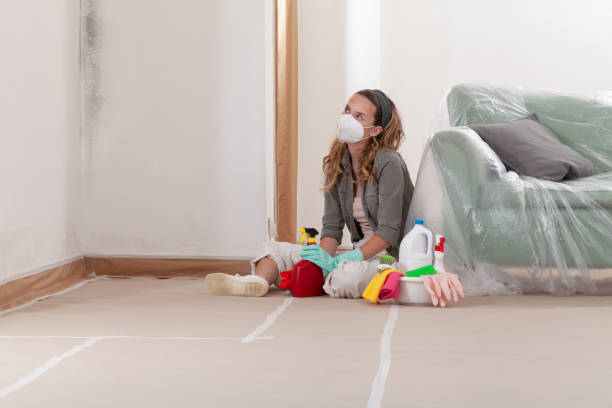 Reliable Mold Inspection contractor in Roselle Park, NJ by WQB Mold Removal